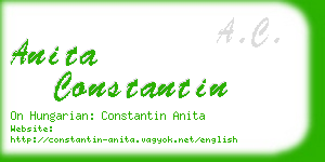 anita constantin business card